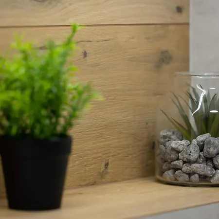 Aparthotel Wellness & With Parking By Renters Dziwnow