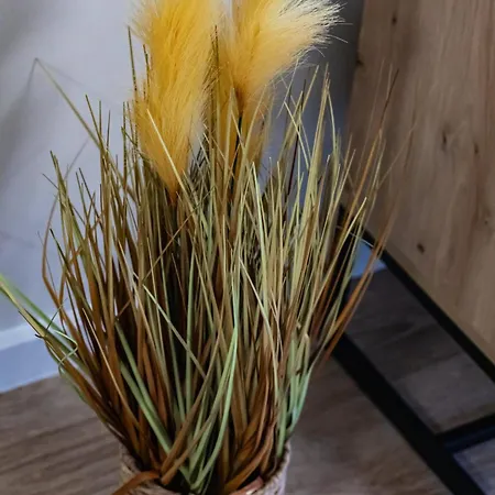 Wellness & With Parking By Renters