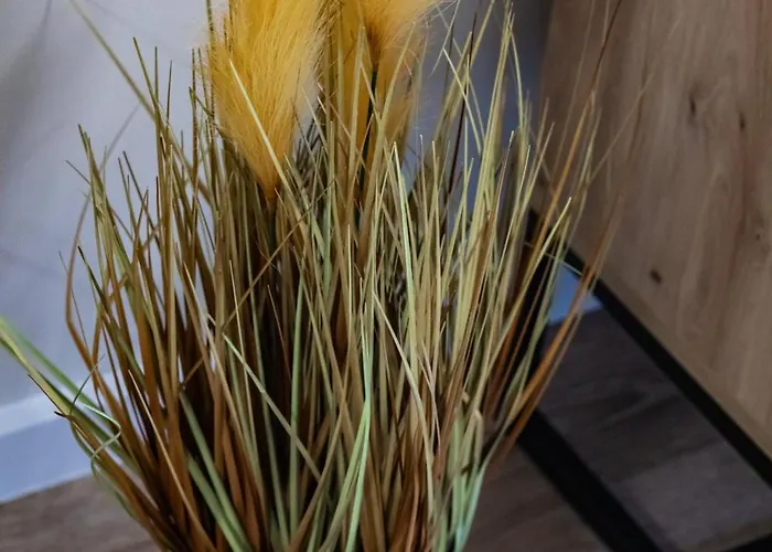 Wellness Resort&spa With Parking By Renters